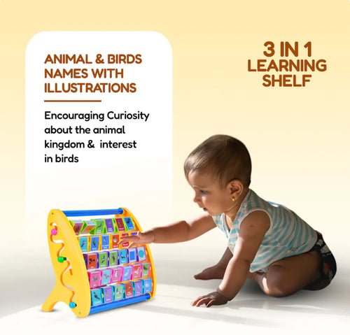 3-in-1 Learning Shelf For Kids - Animal and Bird Names English (3+ Years)