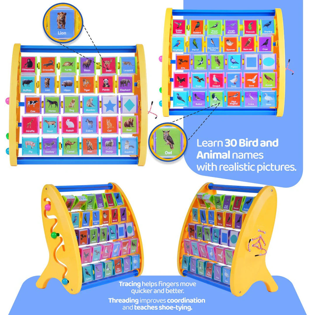 3-in-1 Learning Shelf For Kids - Animal and Bird Names English (3+ Years)